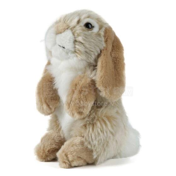Keycraft Living Nature Dutch Lop Eared Rabbit Art.AN345B Brown Mīkstā rotaļlieta