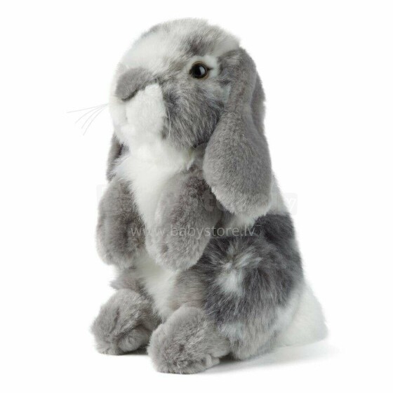 Living Nature Sitting Lop Eared Rabbit Art.AN345G Grey  Pehme Toy