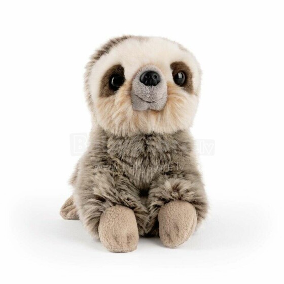 Keycraft Living Nature Sloth Small Art.AN655 Pehme Toy
