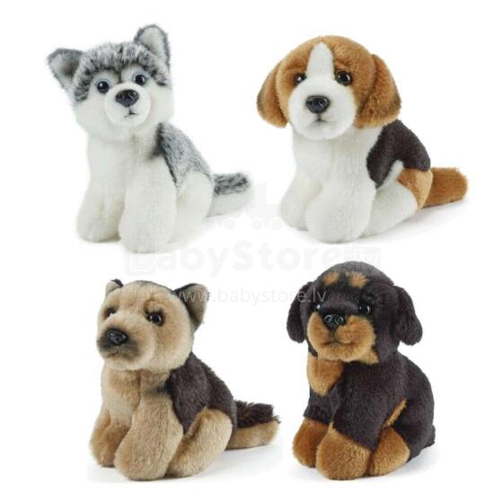 Keycraft Living Nature Miniature Dogs Assorted Art.AN366  Plush toy