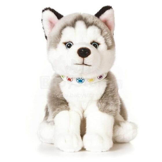Keycraft Living Nature Giant Husky Puppy Art.AN524 Augstvērtīga mīksta plīša rotaļlieta