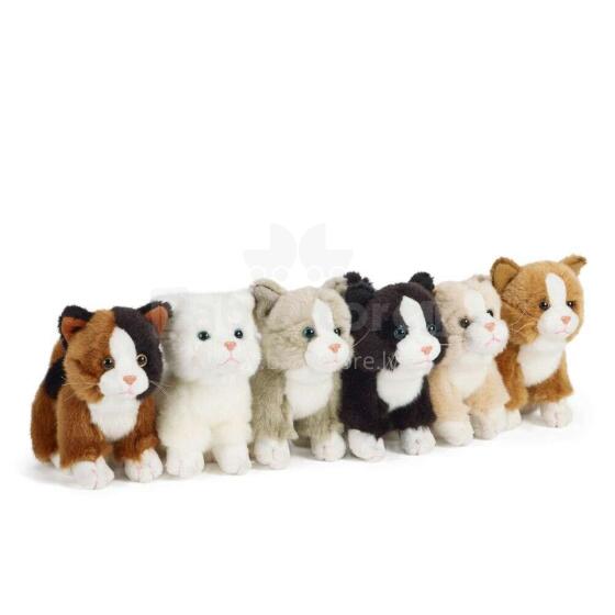 Keycraft Living Nature Cat Small Assorted Art.AN147 Plush toy