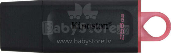 Kingston 256GB USB 3.2 Gen1 DataTraveler Exodia (melns + rozā)