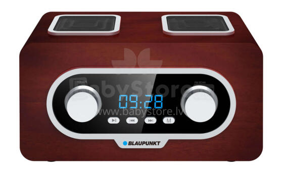 Blaupunkt PP5.2BR