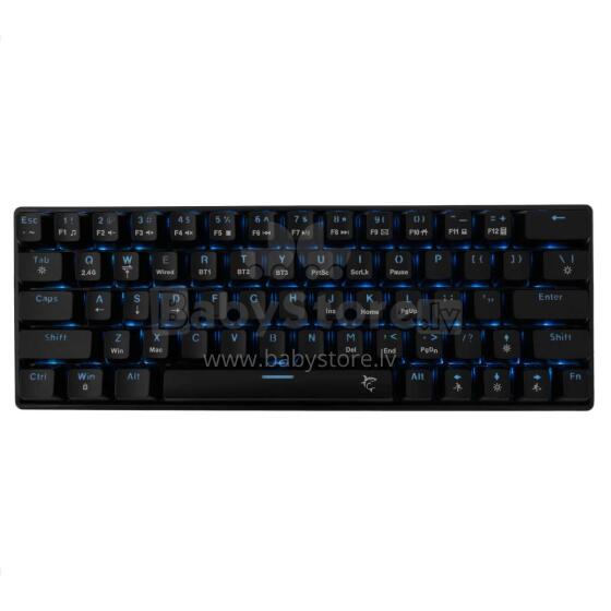White Shark Premium Line GK-003111 Kaiken US