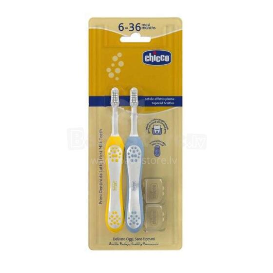 174713 INDIGO TOOTHBRUSH 6-36M 2PCS