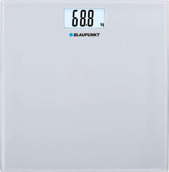 Blaupunkt BSP301