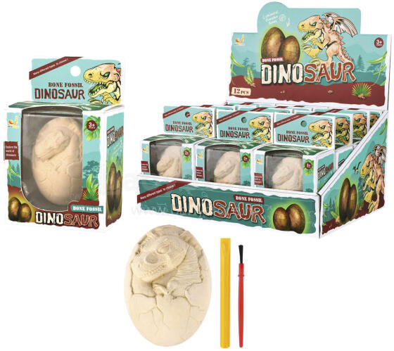 WYKOPALISKA PALEONTOLOG JAJKO DINOZAUR