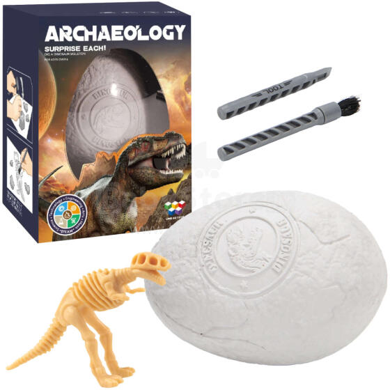 WYKOPALISKA PALEONTOLOG JAJKO DINOZAUR