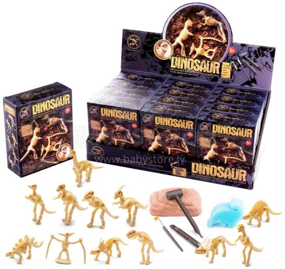 WYKOPALISKA PALEONTOLOG DINOZAUR SZKIELE