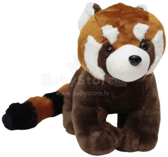 CZERWONA PANDA DUŻA