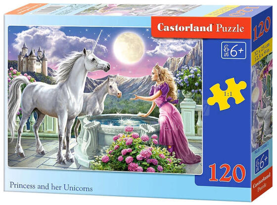 KSIĘŻNICZKA I JEDNOROŻCE *120*
