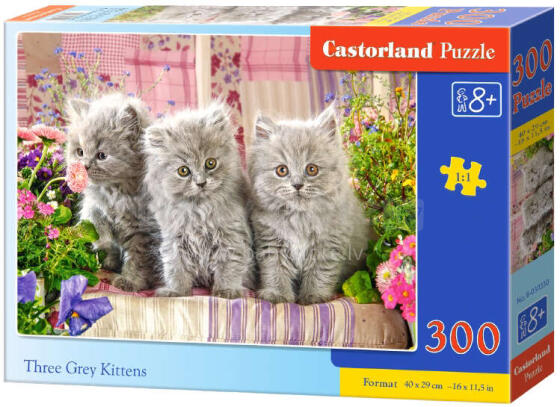 TRZY SZARE KOTY *300*