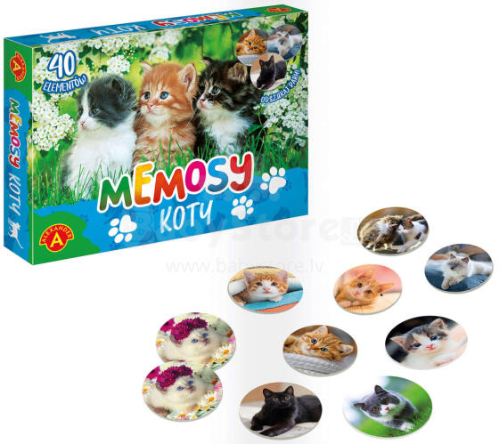 PAMIĘĆ MEMOSY KOTY