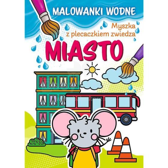 MYSZKA KOLOROWANKI WODNE - MIASTO