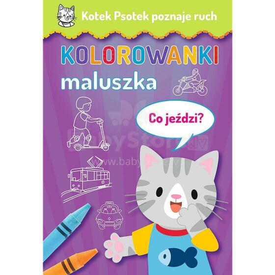KOTEK PSOTEK POZNAJE RUCH - CO JEŹDZI?
