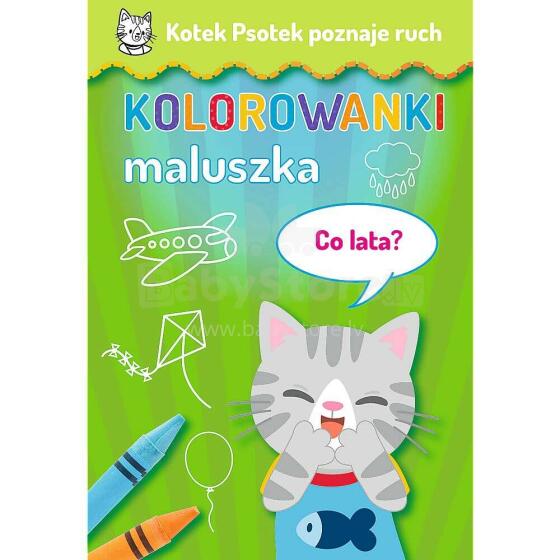 KOTEK PSOTEK POZNAJE RUCH - CO LATA?