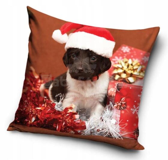 Carbotex Pillowcase Christmas Art.PNL241129