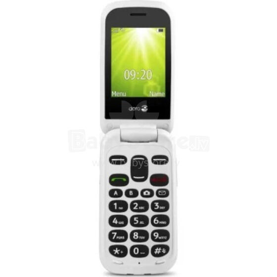 Easy Mobile D2404 Черный/Белый
