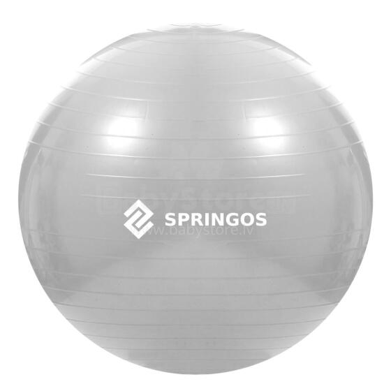 Exercise ball with pump Springos FB0008 75cm