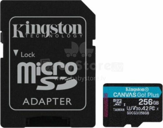 Karta Kingston Canvas Go! Plus MicroSDXC 256 GB Class 10 UHS-I/U3 A2 V30 (SDCG3/256GB)