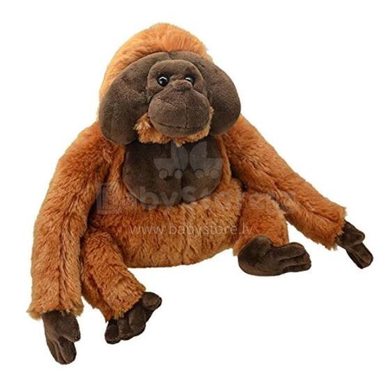Wild Planet pehme mänguasi, orangutan 22 cm