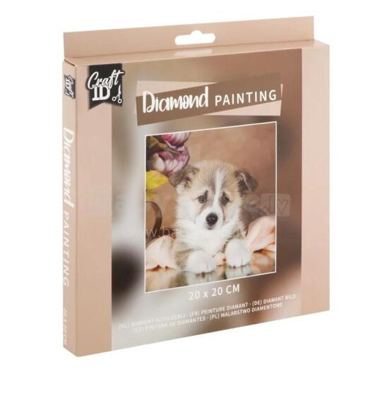 Teemanditikand Corgi 20 x 20 cm