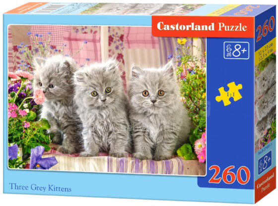 TRZY SZARE KOTKI *260*