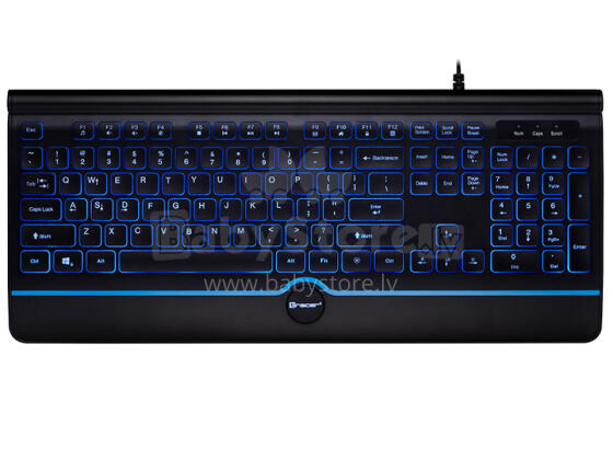 Tracer 46473 Office PRO USB Black