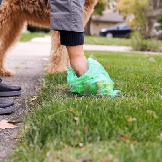 Dog waste bags Springos PA0255, 432 pcs, with dispenser, 24 rolls, green
