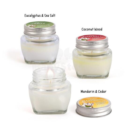 Lucky Cat - Good Vibes scented candles in a jar, 3 assorted