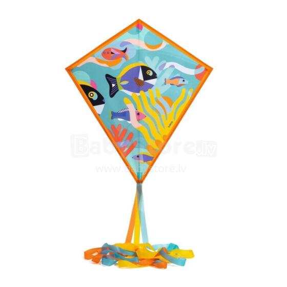 Games of skill - Kite - Ocean