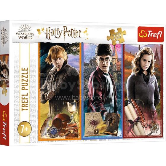 TREFL 13277 Puzzle 200 In the world of magic and spells