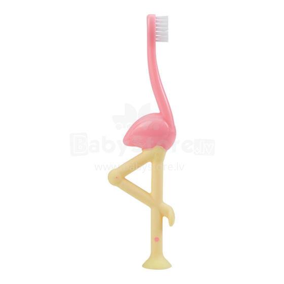 Dr. Browns HG058 Flamingo Baby Toothbrush