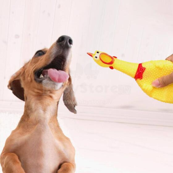 Rubber Dog Toy, Squeaky Chicken Springos PA0272 37 cm