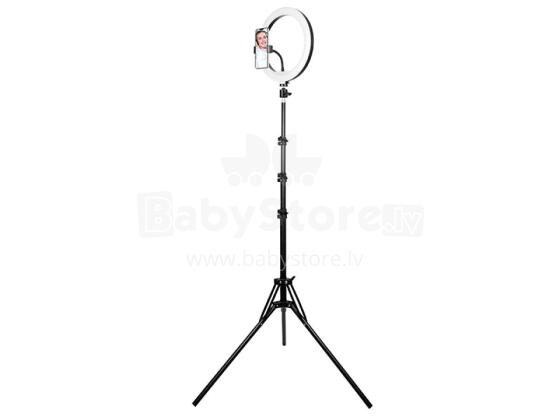 Tracer 46745 LED Ring Lamp 30cm with 210cm tripod