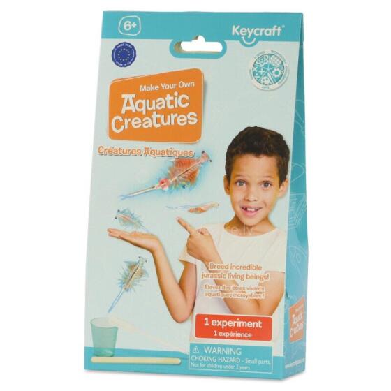 Experiment - Aquatic Creatures