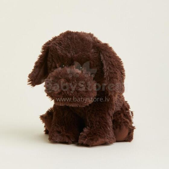 Warmies - ChocolateLabrador (regular size)