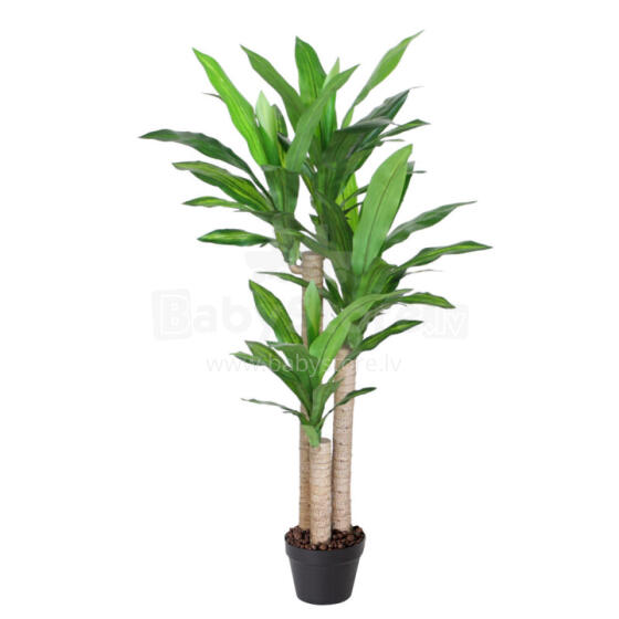 Mâkslîgs koks DRACAENA H125cm, melns puíupods