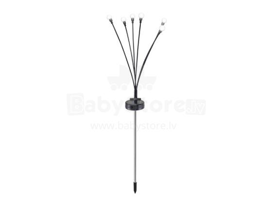 Beper P207ILO104