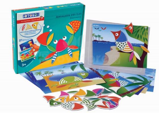 Magnētiskā spēle, Polonēzija, 3+