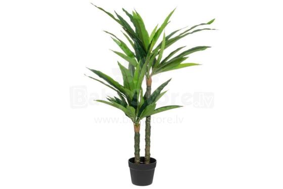 4Living Dracaena 100 cm
