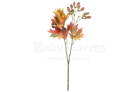 4Living Maple single 75 cm