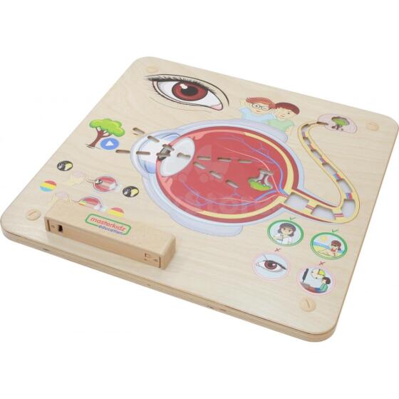 MASTERKIDZ Educational Board Sense of Sight Montessori