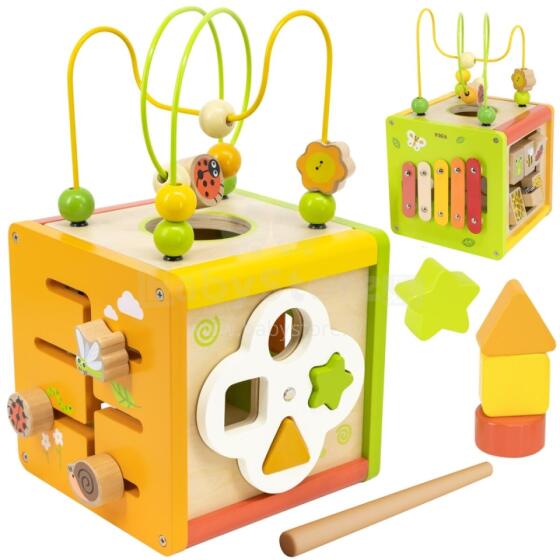 VIGA Wooden Educational Cube 5in1