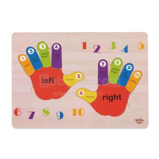 TOOKY TOY Educational Wooden Puzzle Hand Learning Counting and Colors