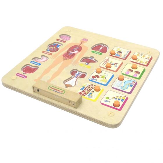 MASTERKIDZ Educational Board Human Body System Montessori