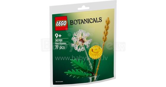 Lego Botanicals Art.30701 Savvaļas ziedi