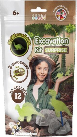 Science kit - Excavation Kit