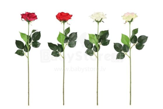4Living Rose single 52 cm assortment
